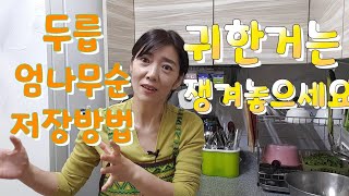 두릅 저장방법 엄나무순 저장방법 요렇게 하시면 6개월 1년도 끄덕없어요