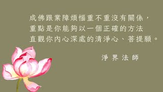 成佛跟業障煩惱重不重沒有關係，重點是你能夠以一個正確的方法直觀你內心深處的清淨心、菩提願。  #淨界法師 #提婆達多品 #龍女成佛