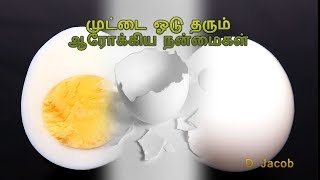 முட்டை ஓடு தரும் ஆரோக்கிய நன்மைகள்