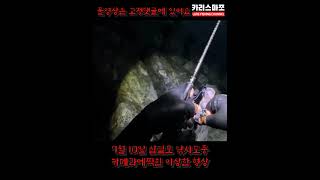 삼길포 야간우럭낚시중 이상한 형체가 카메라에찍혔어요. 혹시 귀신 ?