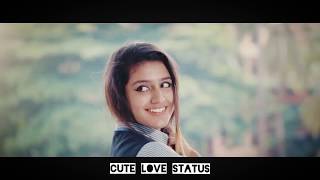 Priya Prakash Varrier 💓New Love Whatsup Status💓 | Munnaale Ponaale