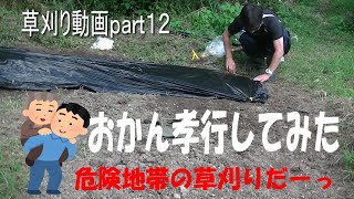 【山小屋生活】【VLOG】ジャンボニクニクと葉大根の植え付けと草刈り【おかん孝行してみた】【草刈り動画ｐａｒｔ１２】