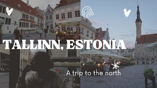 Tallinn, Estonia Vlog | A Rainy Day in Old Town & Cat Cafes with my girlfriend
