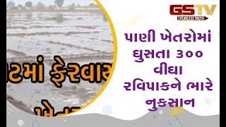 Ahmedabad : પાણી ખેતરોમાં ઘુસતા 300 વીઘા રવિપાકને ભારે નુકસાન | Gstv Gujarati News