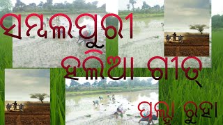 ସମ୍ବଲପୁରୀ ହଲିଆ ଗୀତ୍ // ପଲ୍ହା ରୁହା video #viral