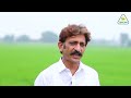 Muhammad Asif Butt | Daska Janhgir Zila Sialkot | Rice Crop | Sarsabz Fertilizers