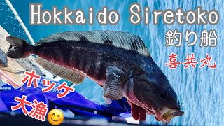 【五目釣り🎣好調です！😊】北海道　知床ウトロ　釣り船　第18喜共丸