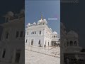 shabad short video gurbani kirtan gurudwara anandpur sahib guru gobind singh ji new vlogs