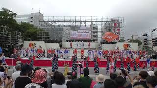 【4K】au｜ （第70回よさこい祭り中央公園会場）