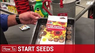 How To Start Plant Seeds - Ace Hardware