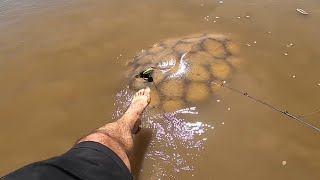 PESCA de Surubies, Dorados, Raya monstruo, COCINA y más en Esquina Corrientes, PESCA URBANA