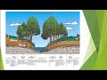 CBF Webinar Series: Forests on the Water