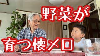 ばぁばの音響栽培🔈この歌でキュウリが育つ