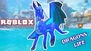 Robloxdragonlife Videos 9tubetv - 