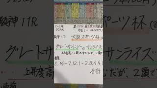 【競馬予想】阪神11R 大阪スポーツ杯🏇強い2頭だけでは決まらない‼️🧐