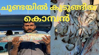 Fishing in Dubai // Deep Sea Fishing // ഉൾക്കടലിലെ മീൻപിടുത്തം