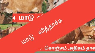 4 மாடு விற்பனைக்கு || விலை கொஞ்சம் அதிகம் தான் || #radhakrishnanfarms