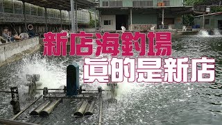 【老蟹愛釣魚】一家很神奇存在的海釣場。「新店海釣場」不遠不近，似易似難，等閒一事，雲中笑看。