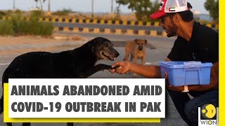 Animals starve to death in pet markets due to COVID-19 outbreak in Pakistan | Coronavirus