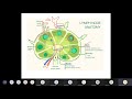 Basics of lymphoma