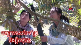 បច្ចេកទេសថែទាំទុរេនពេលកំពុងចេញផ្កា ចេញក្ដឹប / Durian care techniques during flowering