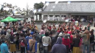 名古屋学生チーム「鯱」2014夜桜in岡崎_家康館