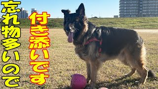 シェパードマックと遊ぼう♪・大型犬と過ごす荒川河川敷【VLOG】