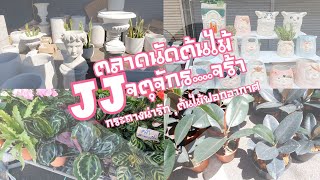 ตลาดต้นไม้จตุจักร|ต้นไม้|กระถาง|ของแต่งบ้าน|CHATUCHAKTREEMARKET🇹🇭|TLE TO DO TODAY