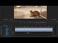 내 맘대로 멋대로 영상 퀄리티를 올리는 프리미어프로 속도조절 타임리매핑 효과 adobe premiere pro cc time remapping how to