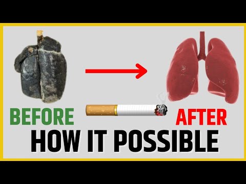 The Truth About How Cigarettes Damage Your Body Youtube
