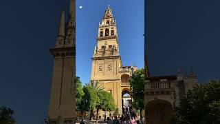 鐘塔與橘子庭園⭐️西班牙哥多華(科爾多瓦)❤️Cordoba,Spain