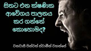 ක්ෂණික ආවේගය පාලනය කර ගන්නේ කොහොමද? | wanawasi pinwath swameen wahanse | budu karuna