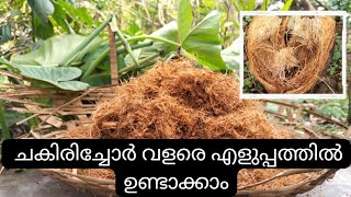 How to make Coco peat at home | ചകിരിച്ചോർ വളരെ എളുപ്പത്തിൽ ഉണ്ടാക്കാം