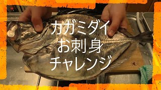 【中学生　魚を捌く】カガミダイを捌いて　お刺身を作る‼