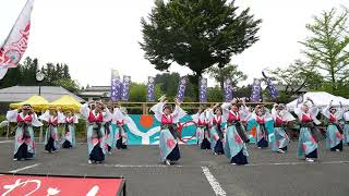 09 泉州ソーリャ踊り子隊 紀の国やっちょん祭り20th in 高野山”青葉まつり” ［4K］