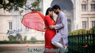 Tu Meri Zindagi Hai | Full (Audio) Song | Aashiqui |
