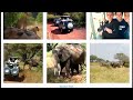 When I Say Africa (2024) Trailer