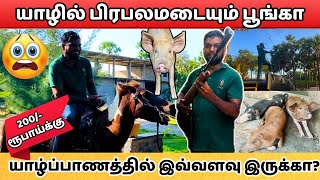 யாழில் பிரபலமடையும் பூங்கா 200/- ரூபாய்க்கு இவ்வளவு இருக்கா?