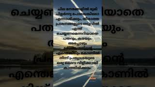 ഒരു തരി കനൽ /A grain of coal/ #shorts  #trending  #viral