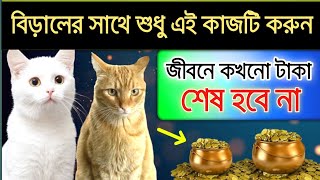 বিড়ালের সাথে শুধু এই একটি কাজ করেন | জীবনে টাকা পয়সা শেষ হবে না | Alimimessage