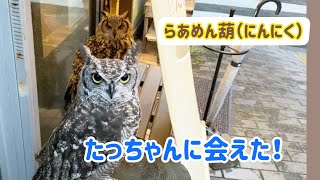 葫のフクロウ「たっちゃん」の対応ははたして…