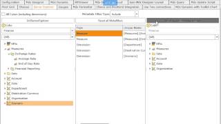 Ranet OLAP - Filtering Olap Metadata