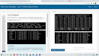 NDG: Linux Essentials: Lab 13