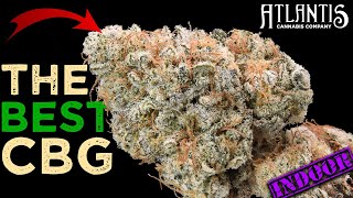 This Is The BEST CBG Flower I've Had | Atlantis Cannabis Co | CBD Hemp Flower Review