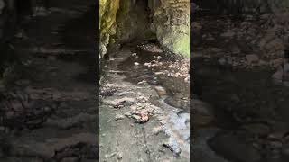 高知県安芸市にある洞窟の伊尾木洞に入ってみたI entered the Ioki Dokutsu Cave in Aki City, Kochi Prefecture.