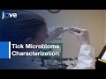 Tick Microbiome Characterization By Next-Generation 16S rRNA Amplicon Sequencing l Protocol Preview