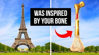 What Your Bones Have In Common with the Eiffel Tower