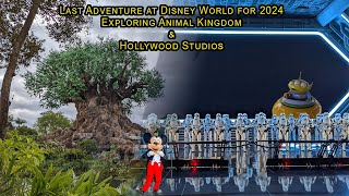 2024 Last visit Animal Kingdom \u0026 Hollywood Studios/2024年最後のアニマルキングダムとハリウッドスタジオ