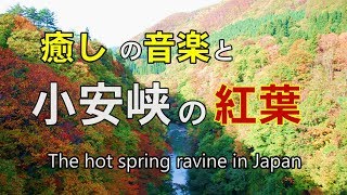 【湯沢市紅葉観光】癒しの音楽で綴る小安峡の紅葉・The hot spring ravine in Japan