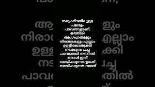 പച്ചയായ മനുഷ്യൻ #trending #motivation #kerala #youtubeshorts #viralvideo #shortvideo #shorts #short